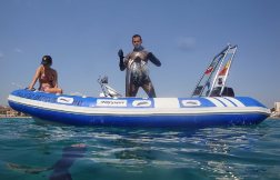 Neuvisa Tarpon AD40